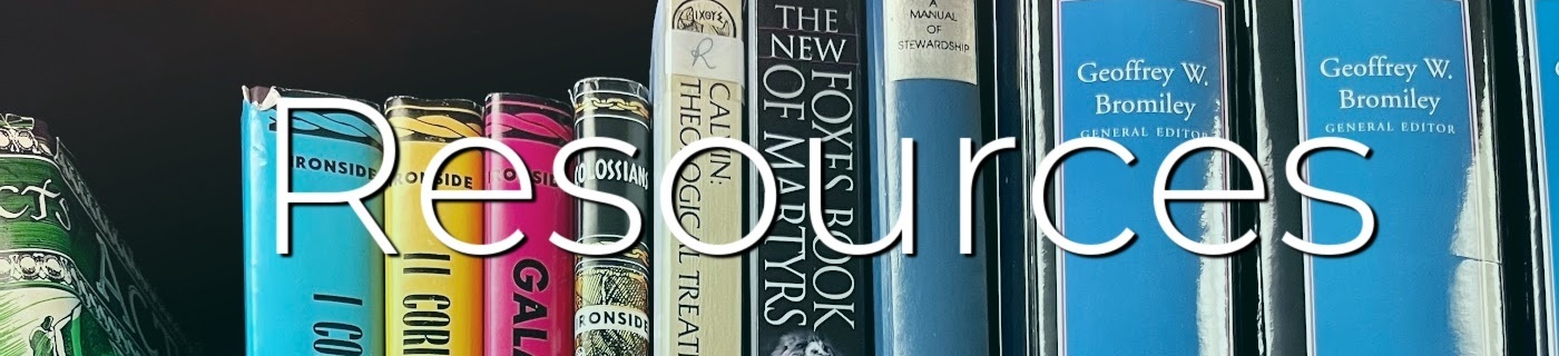 Library books on a shelf, white lettering